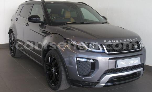 Buy Used Land Rover Range Rover Evoque Beige Car in Big Bend in Lubombo Buy Used Land Rover Range Rover Evoque Beige Car in Big Bend in Lubombo