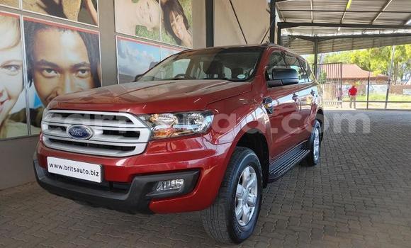 Buy Used Ford Everest Red Car in Ezulwini in Hhohho
