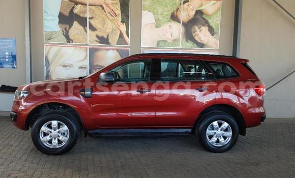 Buy Used Ford Everest Red Car in Ezulwini in Hhohho Buy Used Ford Everest Red Car in Ezulwini in Hhohho