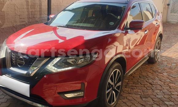 Acheter Occasion Voiture Nissan X–Trail Rouge à Hlatikulu, Shiselweni District Acheter Occasion Voiture Nissan X–Trail Rouge à Hlatikulu, Shiselweni District