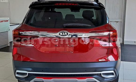 Nunua Ilio tumika Kia Sephia Red Gari ndani ya Ezulwini nchini Hhohho Nunua Ilio tumika Kia Sephia Red Gari ndani ya Ezulwini nchini Hhohho