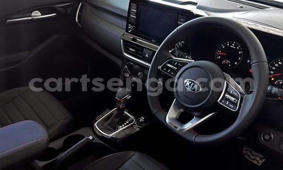 Nunua Ilio tumika Kia Sephia Red Gari ndani ya Ezulwini nchini Hhohho Nunua Ilio tumika Kia Sephia Red Gari ndani ya Ezulwini nchini Hhohho