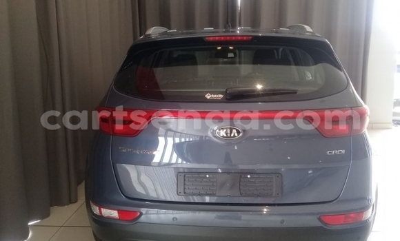 Buy Used Kia Sportage Blue Car in Big Bend in Lubombo District Buy Used Kia Sportage Blue Car in Big Bend in Lubombo District