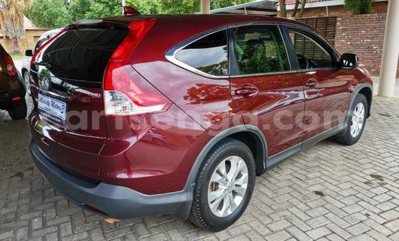 Nunua Ilio tumika Honda CR–V Red Gari ndani ya Bulembu nchini Hhohho Nunua Ilio tumika Honda CR–V Red Gari ndani ya Bulembu nchini Hhohho