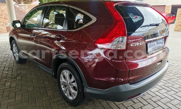 Nunua Ilio tumika Honda CR–V Red Gari ndani ya Bulembu nchini Hhohho Nunua Ilio tumika Honda CR–V Red Gari ndani ya Bulembu nchini Hhohho