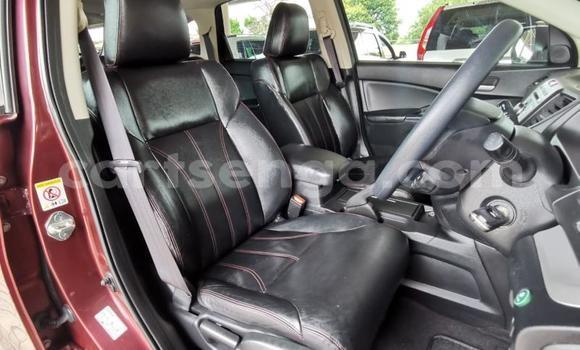 Nunua Ilio tumika Honda CR–V Red Gari ndani ya Bulembu nchini Hhohho Nunua Ilio tumika Honda CR–V Red Gari ndani ya Bulembu nchini Hhohho