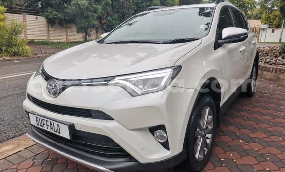 Buy Used Toyota RAV4 White Car in Hlatikulu in Shiselweni District