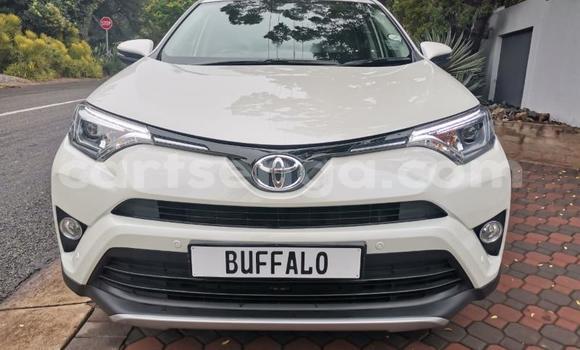 Nunua Ilio tumika Toyota RAV4 White Gari ndani ya Hlatikulu nchini Wilaya ya Shiselweni Nunua Ilio tumika Toyota RAV4 White Gari ndani ya Hlatikulu nchini Wilaya ya Shiselweni