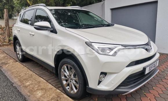 Nunua Ilio tumika Toyota RAV4 White Gari ndani ya Hlatikulu nchini Wilaya ya Shiselweni Nunua Ilio tumika Toyota RAV4 White Gari ndani ya Hlatikulu nchini Wilaya ya Shiselweni