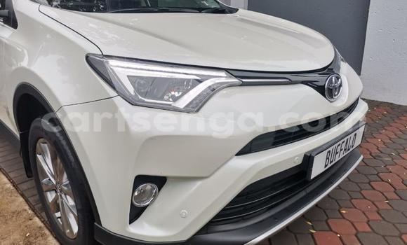 Nunua Ilio tumika Toyota RAV4 White Gari ndani ya Hlatikulu nchini Wilaya ya Shiselweni Nunua Ilio tumika Toyota RAV4 White Gari ndani ya Hlatikulu nchini Wilaya ya Shiselweni