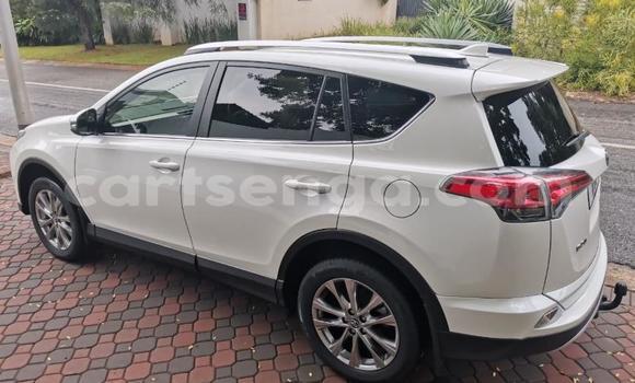 Nunua Ilio tumika Toyota RAV4 White Gari ndani ya Hlatikulu nchini Wilaya ya Shiselweni Nunua Ilio tumika Toyota RAV4 White Gari ndani ya Hlatikulu nchini Wilaya ya Shiselweni