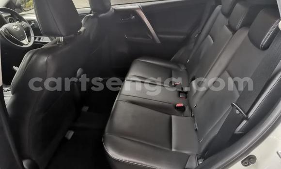 Nunua Ilio tumika Toyota RAV4 White Gari ndani ya Hlatikulu nchini Wilaya ya Shiselweni Nunua Ilio tumika Toyota RAV4 White Gari ndani ya Hlatikulu nchini Wilaya ya Shiselweni