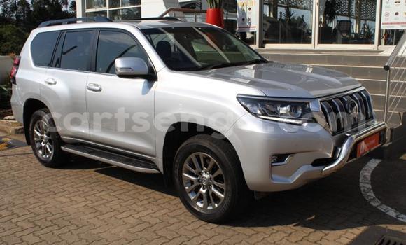 Buy Used Toyota Land Cruiser Prado Silver Car in Manzini in Manzini