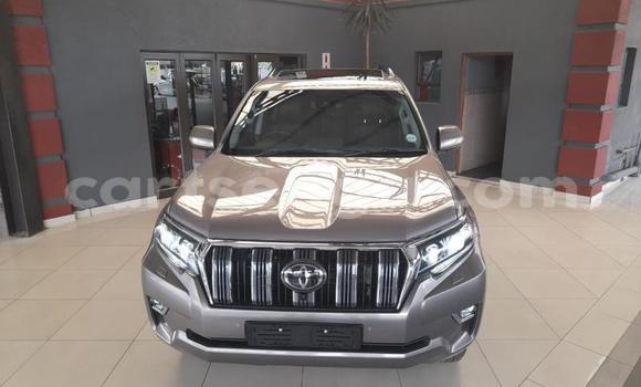 Nunua Ilio tumika Toyota Land Cruiser Prado Silver Gari ndani ya Ezulwini nchini Hhohho Nunua Ilio tumika Toyota Land Cruiser Prado Silver Gari ndani ya Ezulwini nchini Hhohho