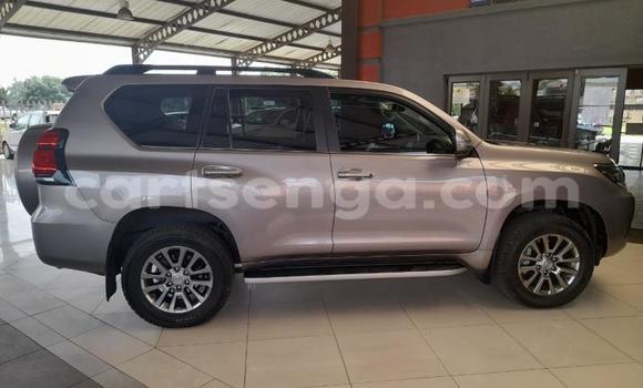 Nunua Ilio tumika Toyota Land Cruiser Prado Silver Gari ndani ya Ezulwini nchini Hhohho Nunua Ilio tumika Toyota Land Cruiser Prado Silver Gari ndani ya Ezulwini nchini Hhohho