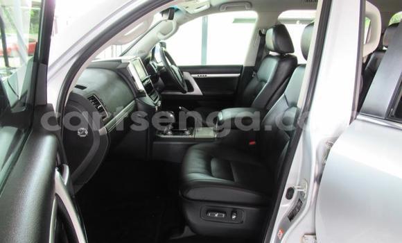 Acheter Occasion Voiture Toyota Land Cruiser Gris à Hlatikulu, Shiselweni District Acheter Occasion Voiture Toyota Land Cruiser Gris à Hlatikulu, Shiselweni District