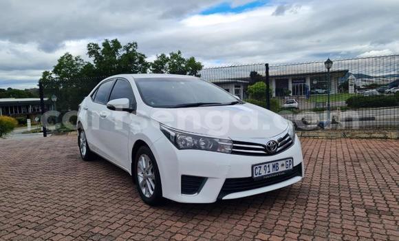Nunua Ilio tumika Toyota Corolla White Gari ndani ya Ezulwini nchini Hhohho Nunua Ilio tumika Toyota Corolla White Gari ndani ya Ezulwini nchini Hhohho