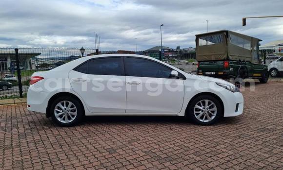 Nunua Ilio tumika Toyota Corolla White Gari ndani ya Ezulwini nchini Hhohho Nunua Ilio tumika Toyota Corolla White Gari ndani ya Ezulwini nchini Hhohho