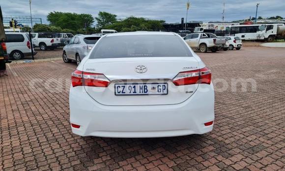 Nunua Ilio tumika Toyota Corolla White Gari ndani ya Ezulwini nchini Hhohho Nunua Ilio tumika Toyota Corolla White Gari ndani ya Ezulwini nchini Hhohho