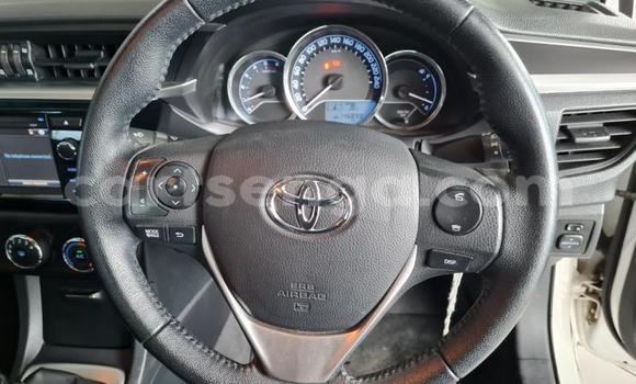 Nunua Ilio tumika Toyota Corolla White Gari ndani ya Ezulwini nchini Hhohho Nunua Ilio tumika Toyota Corolla White Gari ndani ya Ezulwini nchini Hhohho