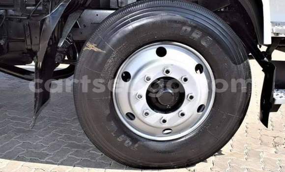 Acheter Occasion Utilitaire Nissan UD Blanc à Ezulwini, Hhohho Acheter Occasion Utilitaire Nissan UD Blanc à Ezulwini, Hhohho