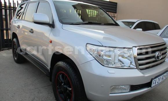 Acheter Occasion Voiture Toyota Hilux Gris à Ezulwini, Hhohho