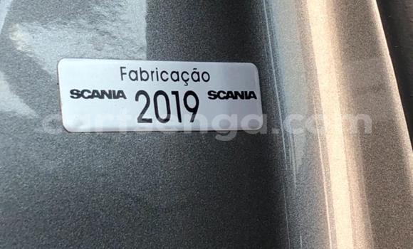 Acheter Occasion Utilitaire Scania Irizar Autre à Mbabane, Manzini Acheter Occasion Utilitaire Scania Irizar Autre à Mbabane, Manzini