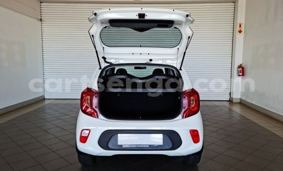 Nunua Ilio tumika Kia Picanto White Gari ndani ya Ezulwini nchini Hhohho Nunua Ilio tumika Kia Picanto White Gari ndani ya Ezulwini nchini Hhohho