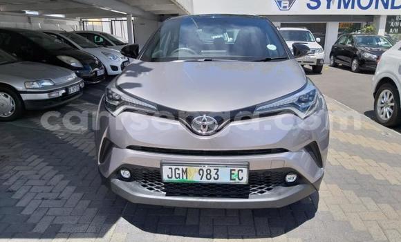 Acheter Occasion Voiture Toyota Hiluxe VIGO Autre à Mbabane, Manzini Acheter Occasion Voiture Toyota Hiluxe VIGO Autre à Mbabane, Manzini