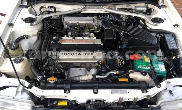 Buy Used Toyota Corolla White Car in Ezulwini in Hhohho Buy Used Toyota Corolla White Car in Ezulwini in Hhohho