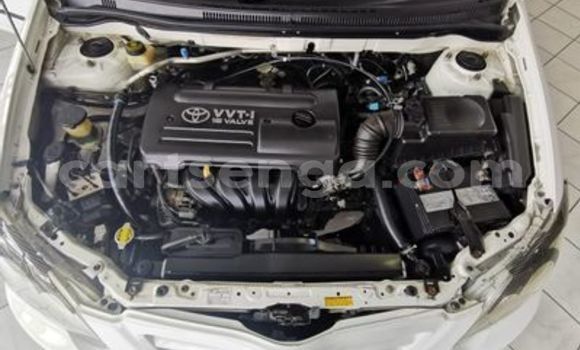 Nunua Ilio tumika Toyota Runx White Gari ndani ya Ezulwini nchini Hhohho