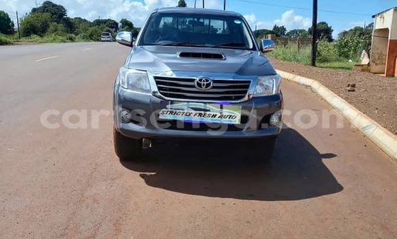 Nunua Ilio tumika Toyota Hilux Blue Gari ndani ya Bhunya nchini Manzini Nunua Ilio tumika Toyota Hilux Blue Gari ndani ya Bhunya nchini Manzini