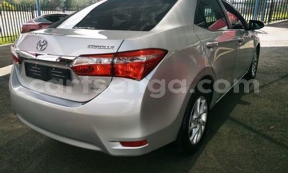 Buy Used Toyota Corolla Silver Car in Bulembu in Hhohho Buy Used Toyota Corolla Silver Car in Bulembu in Hhohho