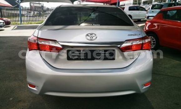 Buy Used Toyota Corolla Silver Car in Bulembu in Hhohho Buy Used Toyota Corolla Silver Car in Bulembu in Hhohho