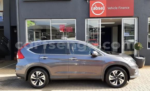 Nunua Ilio tumika Honda CR–V Beige Gari ndani ya Big Bend nchini Lubombo Nunua Ilio tumika Honda CR–V Beige Gari ndani ya Big Bend nchini Lubombo