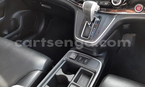 Nunua Ilio tumika Honda CR–V Beige Gari ndani ya Big Bend nchini Lubombo Nunua Ilio tumika Honda CR–V Beige Gari ndani ya Big Bend nchini Lubombo