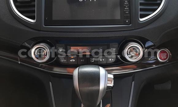 Nunua Ilio tumika Honda CR–V Beige Gari ndani ya Big Bend nchini Lubombo Nunua Ilio tumika Honda CR–V Beige Gari ndani ya Big Bend nchini Lubombo