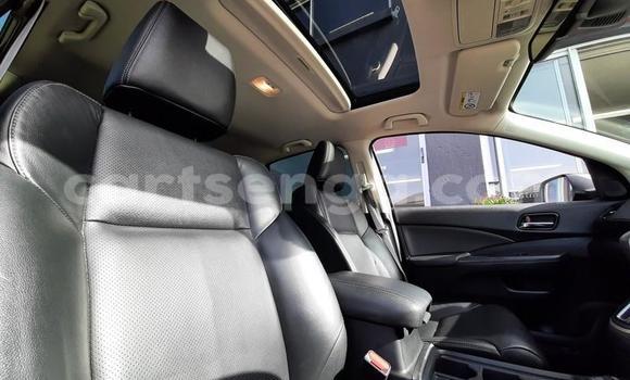 Nunua Ilio tumika Honda CR–V Beige Gari ndani ya Big Bend nchini Lubombo Nunua Ilio tumika Honda CR–V Beige Gari ndani ya Big Bend nchini Lubombo