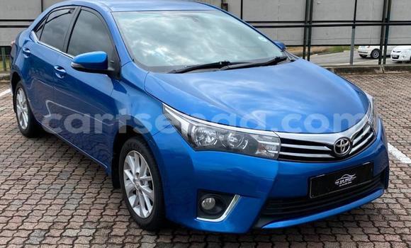 Medium with watermark toyota corolla hhohho bulembu 23458