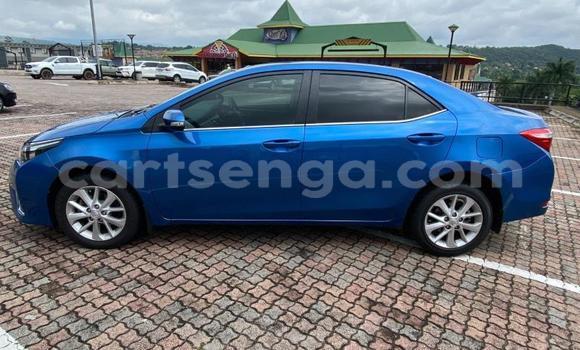 Nunua Ilio tumika Toyota Corolla Blue Gari ndani ya Bulembu nchini Hhohho Nunua Ilio tumika Toyota Corolla Blue Gari ndani ya Bulembu nchini Hhohho