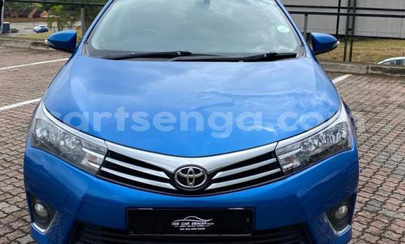 Nunua Ilio tumika Toyota Corolla Blue Gari ndani ya Bulembu nchini Hhohho Nunua Ilio tumika Toyota Corolla Blue Gari ndani ya Bulembu nchini Hhohho
