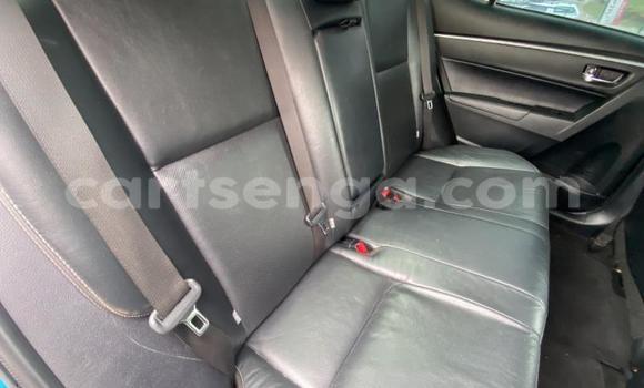 Nunua Ilio tumika Toyota Corolla Blue Gari ndani ya Bulembu nchini Hhohho Nunua Ilio tumika Toyota Corolla Blue Gari ndani ya Bulembu nchini Hhohho