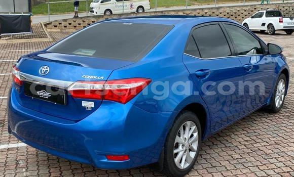 Nunua Ilio tumika Toyota Corolla Blue Gari ndani ya Bulembu nchini Hhohho Nunua Ilio tumika Toyota Corolla Blue Gari ndani ya Bulembu nchini Hhohho
