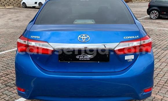Nunua Ilio tumika Toyota Corolla Blue Gari ndani ya Bulembu nchini Hhohho Nunua Ilio tumika Toyota Corolla Blue Gari ndani ya Bulembu nchini Hhohho