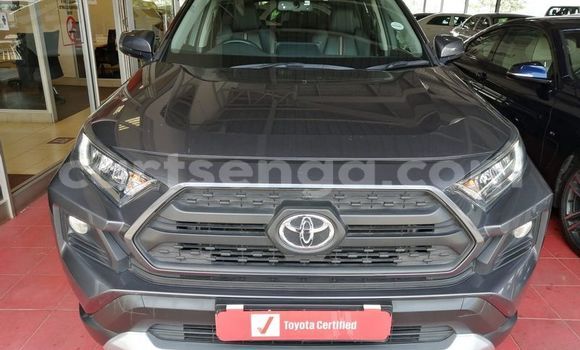 Buy Used Toyota RAV4 Other Car in Big Bend in Lubombo
