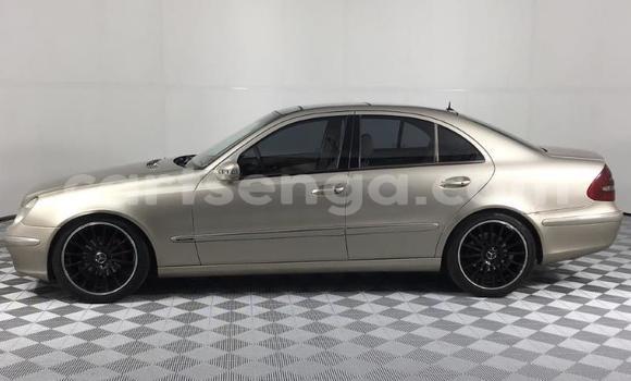 Acheter Occasion Voiture Mercedes-Benz E-Classe Beige à Hlatikulu, Shiselweni District Acheter Occasion Voiture Mercedes-Benz E-Classe Beige à Hlatikulu, Shiselweni District
