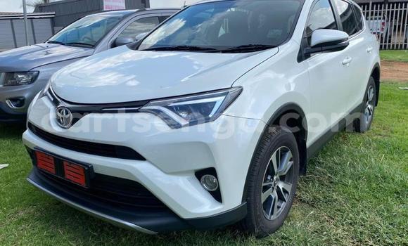 Buy Used Toyota RAV4 White Car in Ezulwini in Hhohho Buy Used Toyota RAV4 White Car in Ezulwini in Hhohho