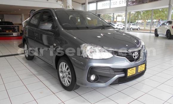Buy Used Toyota Etios Other Car in Bulembu in Hhohho