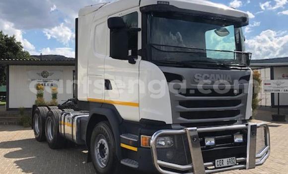 Buy Used Scania R420 White Truck in Hluti in Shiselweni District