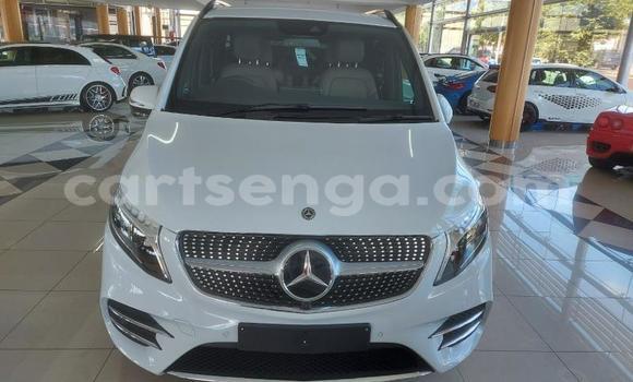 Nunua Ilio tumika Mercedes Viano White Gari ndani ya Ezulwini nchini Hhohho Nunua Ilio tumika Mercedes Viano White Gari ndani ya Ezulwini nchini Hhohho